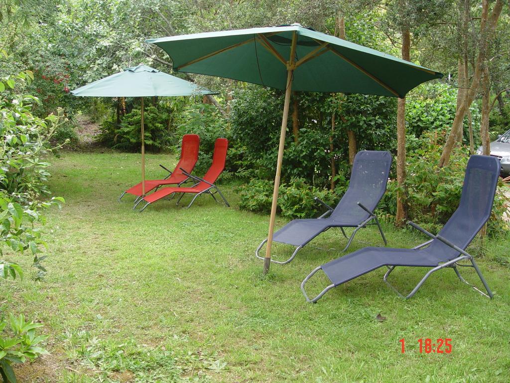 Cabanas El Bosque Patagonico Frutillar Oda fotoğraf