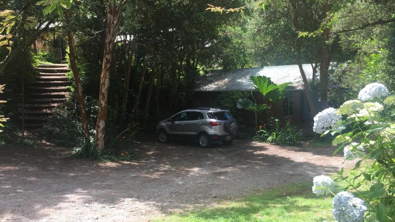 Cabanas El Bosque Patagonico Frutillar Dış mekan fotoğraf